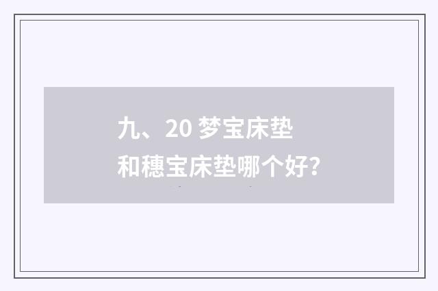 九、20 梦宝床垫和穗宝床垫哪个好？