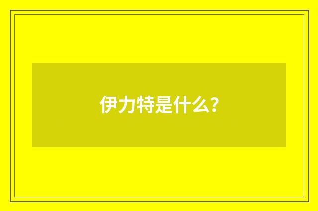 伊力特是什么？