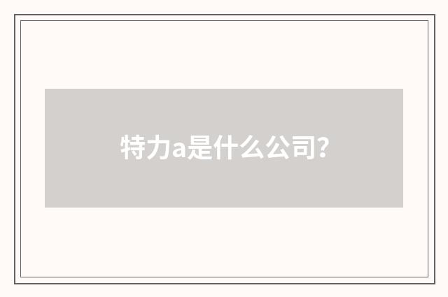 特力a是什么公司？
