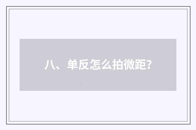 八、单反怎么拍微距？