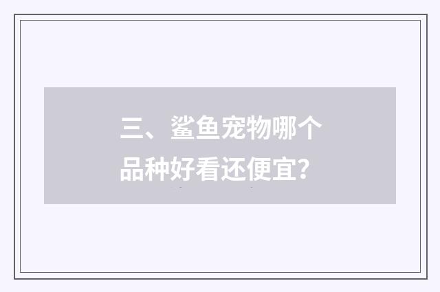 三、鲨鱼宠物哪个品种好看还便宜？