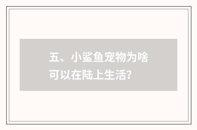 五、小鲨鱼宠物为啥可以在陆上生活？