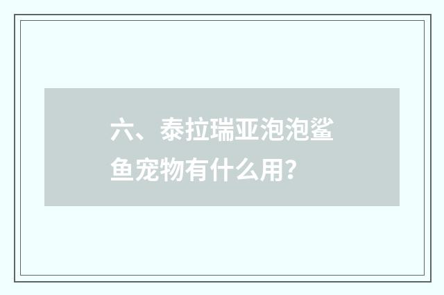 六、泰拉瑞亚泡泡鲨鱼宠物有什么用？