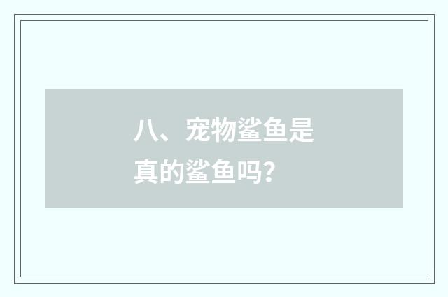 八、宠物鲨鱼是真的鲨鱼吗？
