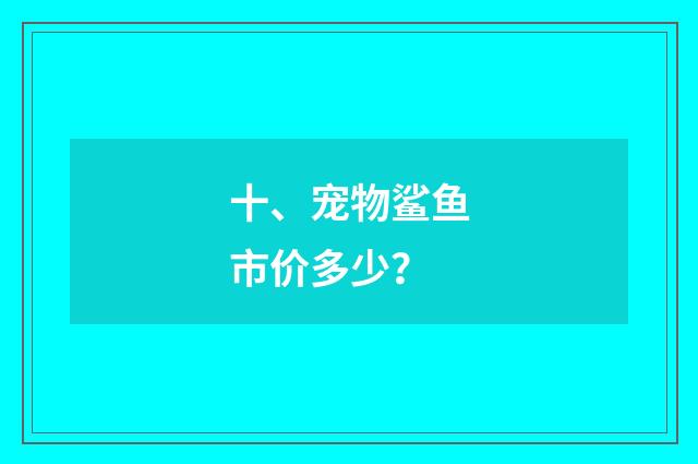 十、宠物鲨鱼市价多少？