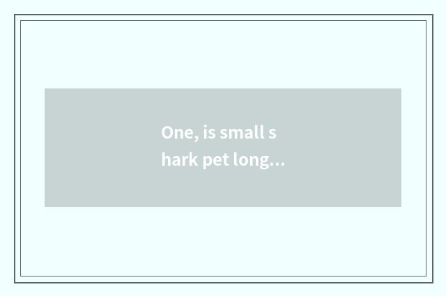 One, is small shark pet long how old?