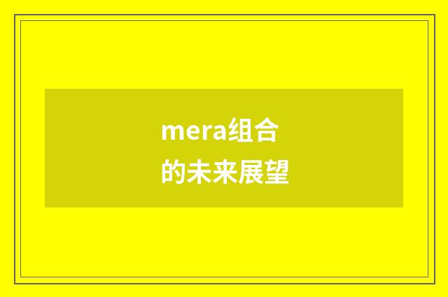 mera组合的未来展望