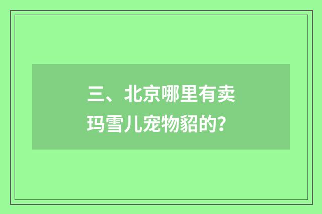 三、北京哪里有卖玛雪儿宠物貂的？