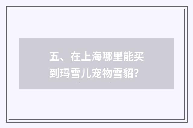 五、在上海哪里能买到玛雪儿宠物雪貂？