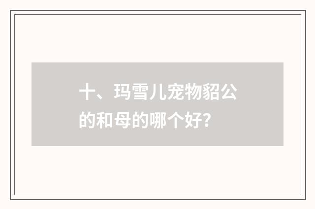 十、玛雪儿宠物貂公的和母的哪个好？