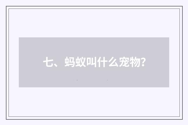 七、蚂蚁叫什么宠物？