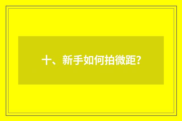 十、新手如何拍微距?
