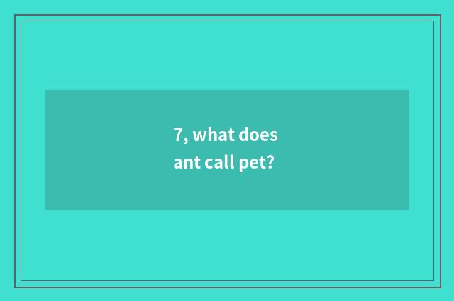 7, what does ant call pet?