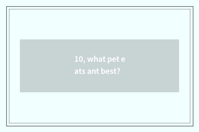 10, what pet eats ant best?