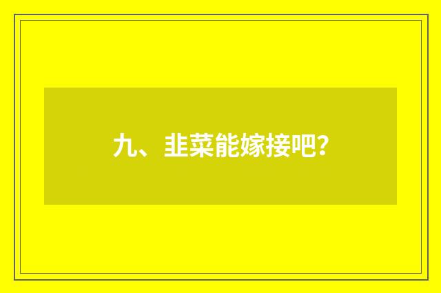 九、韭菜能嫁接吧?