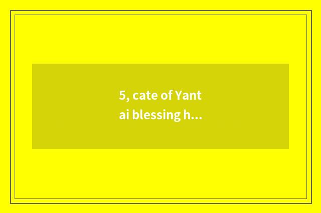 5, cate of Yantai blessing hill?