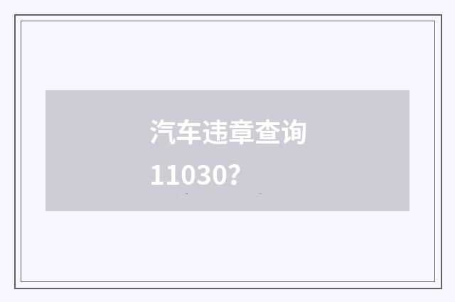 汽车违章查询11030？