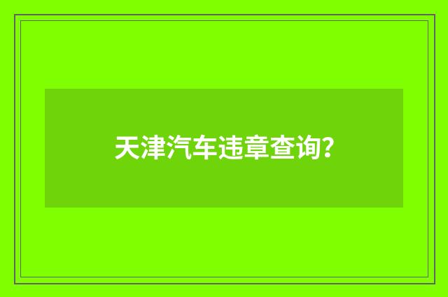 天津汽车违章查询？