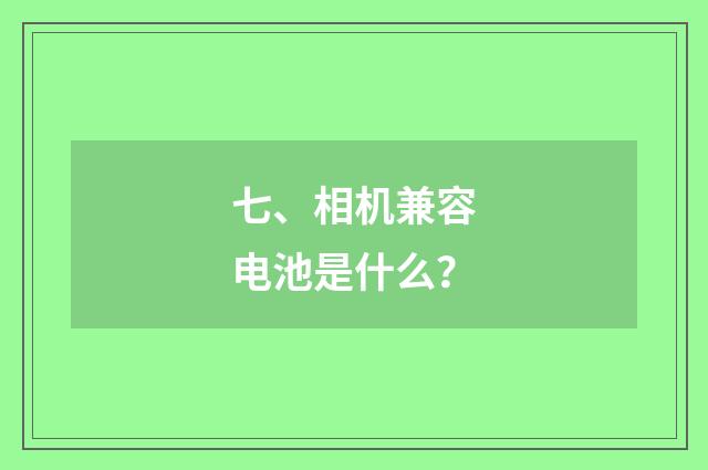 七、相机兼容电池是什么？
