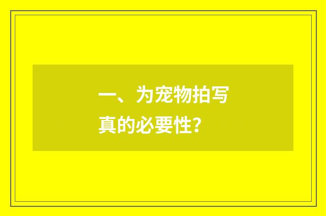 一、为宠物拍写真的必要性？