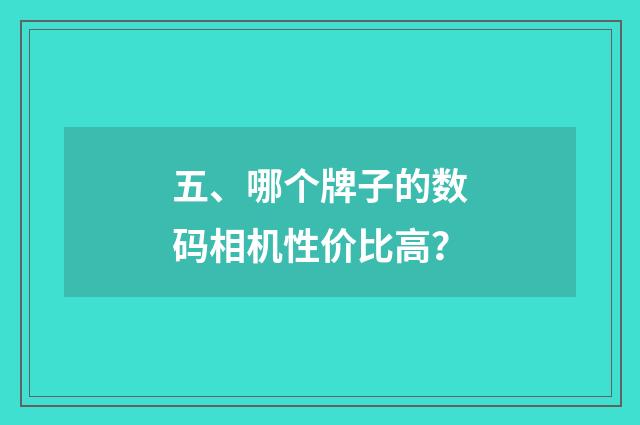 五、哪个牌子的数码相机性价比高?