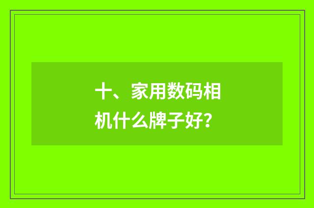 十、家用数码相机什么牌子好？