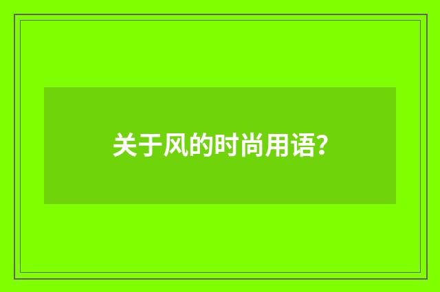 关于风的时尚用语？