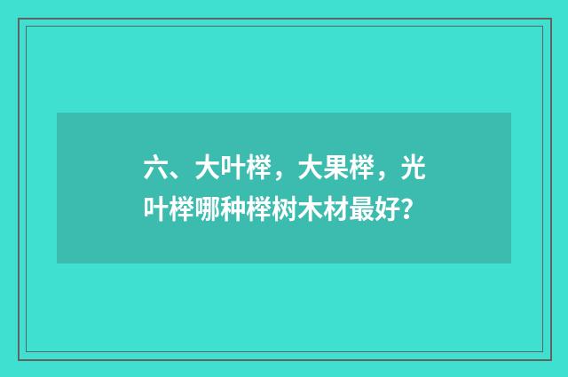 六、大叶榉，大果榉，光叶榉哪种榉树木材最好？