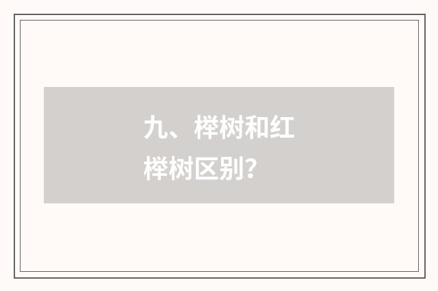 九、榉树和红榉树区别？