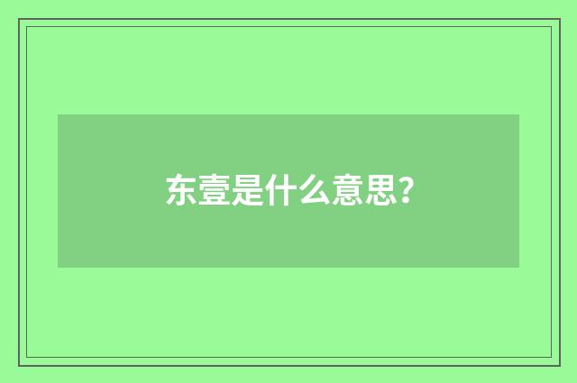 东壹是什么意思？
