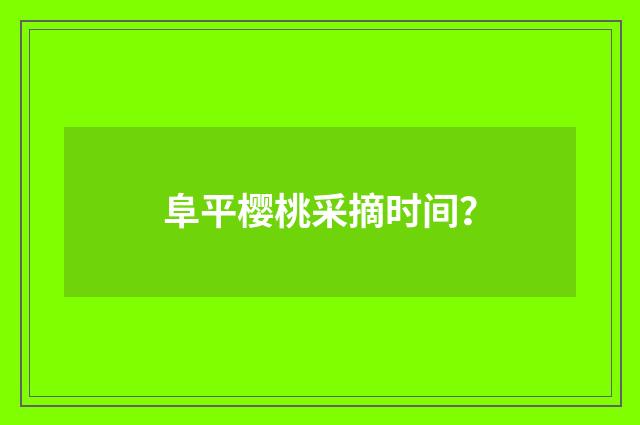 阜平樱桃采摘时间？