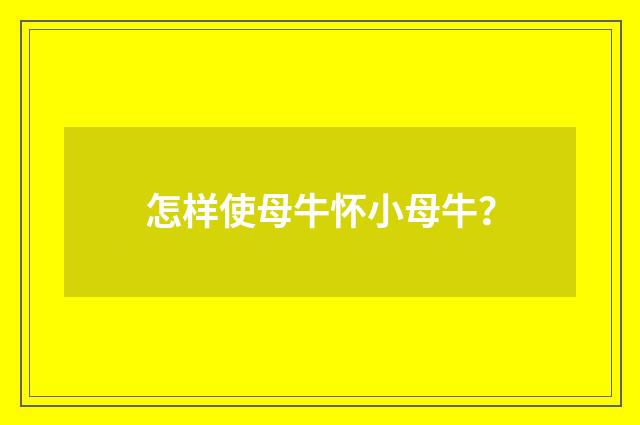 怎样使母牛怀小母牛？