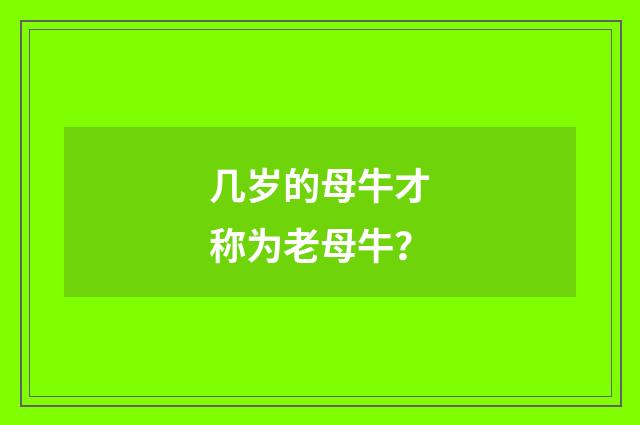 几岁的母牛才称为老母牛？