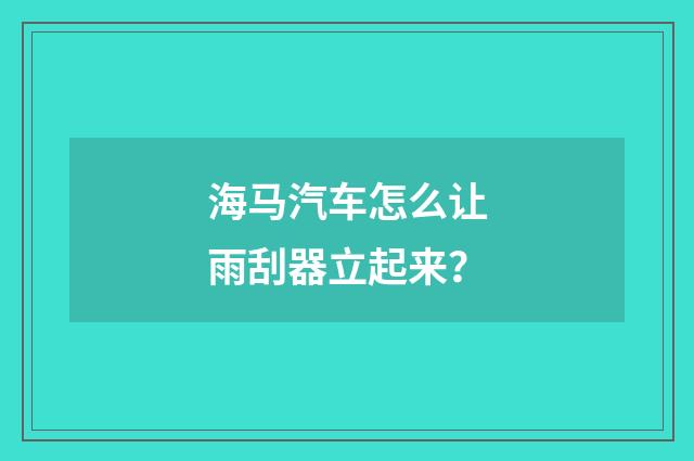 海马汽车怎么让雨刮器立起来？
