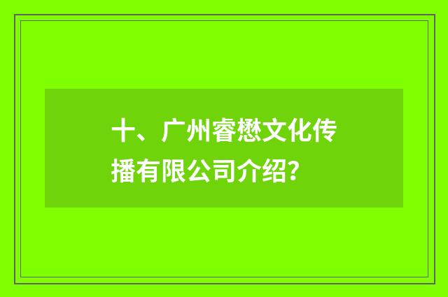 十、广州睿懋文化传播有限公司介绍？
