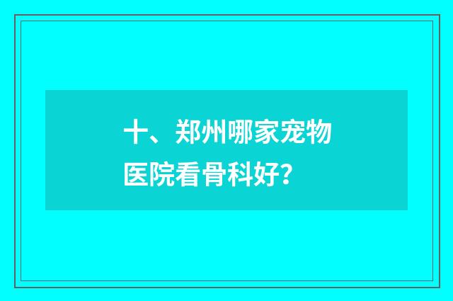 十、郑州哪家宠物医院看骨科好？