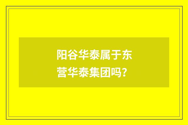 阳谷华泰属于东营华泰集团吗？