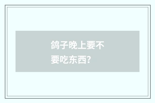 鸽子晚上要不要吃东西？
