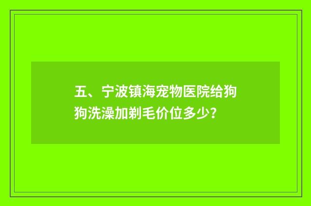 五、宁波镇海宠物医院给狗狗洗澡加剃毛价位多少？