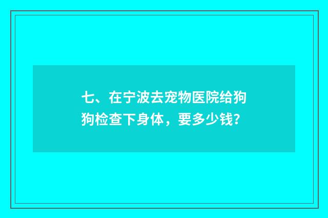 七、在宁波去宠物医院给狗狗检查下身体，要多少钱？