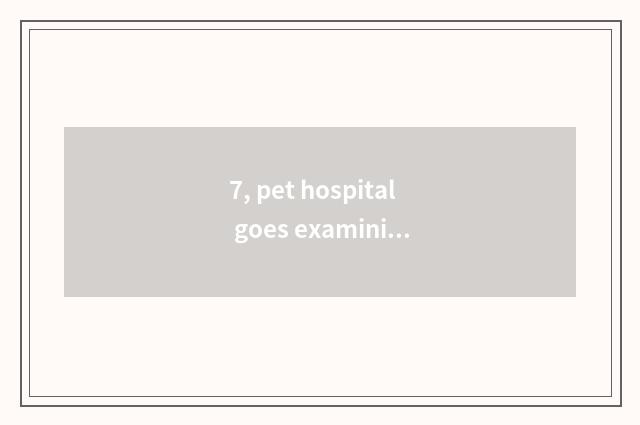 7, pet hospital goes examining private parts system to dog dog in Ning Bo, how m