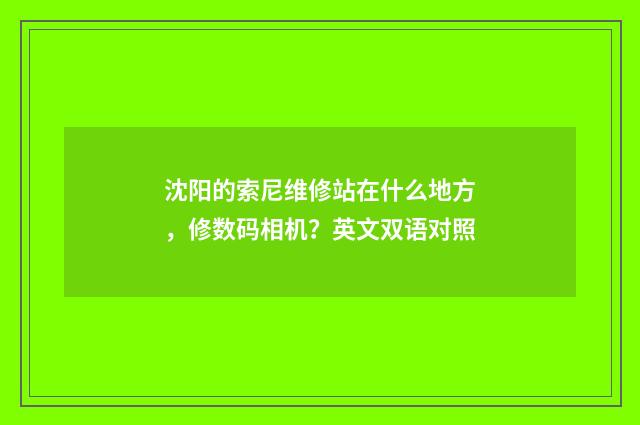 沈阳的索尼维修站在什么地方，修数码相机？英文双语对照