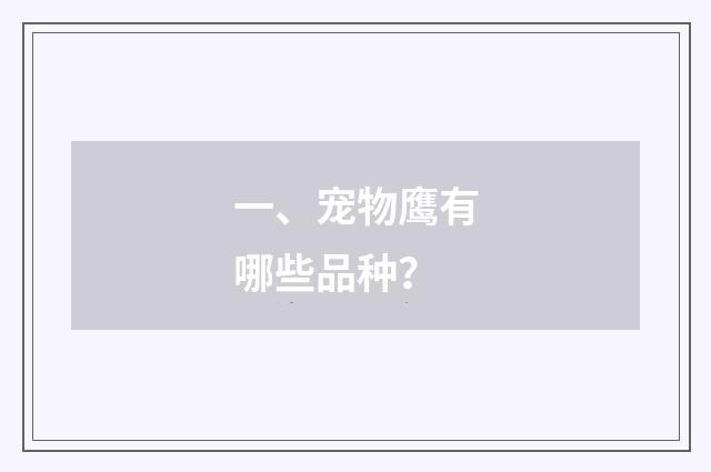 一、宠物鹰有哪些品种？