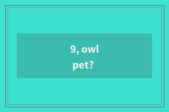 9, owl pet?