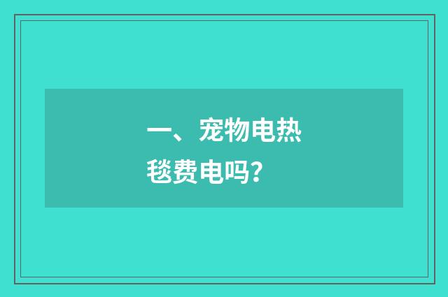 一、宠物电热毯费电吗？