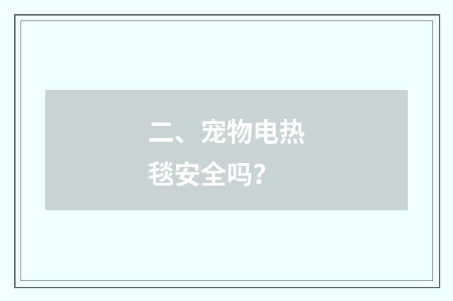 二、宠物电热毯安全吗？