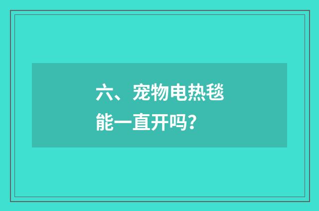 六、宠物电热毯能一直开吗？