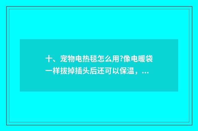 十、宠物电热毯怎么用?像电暖袋一样拔掉插头后还可以保温，还是要一整夜地插着插头呢？