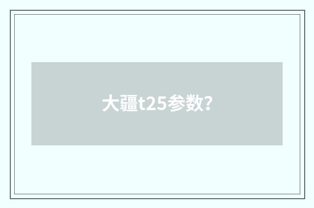 大疆t25参数？