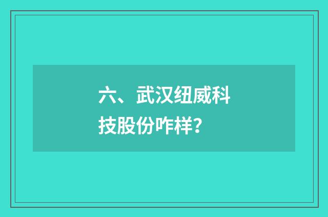 六、武汉纽威科技股份咋样？